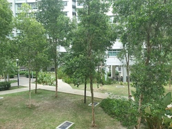 Blk 210C Punggol Place (Punggol), HDB 2 Rooms #199860092